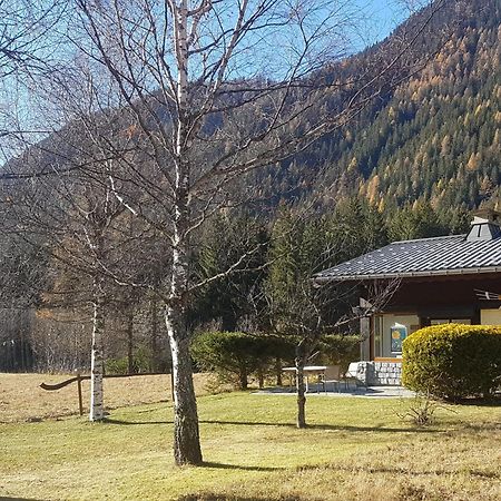 Chalet L'Ilet Ensoleille /Sunny Island Chalet Chamonix Exteriör bild