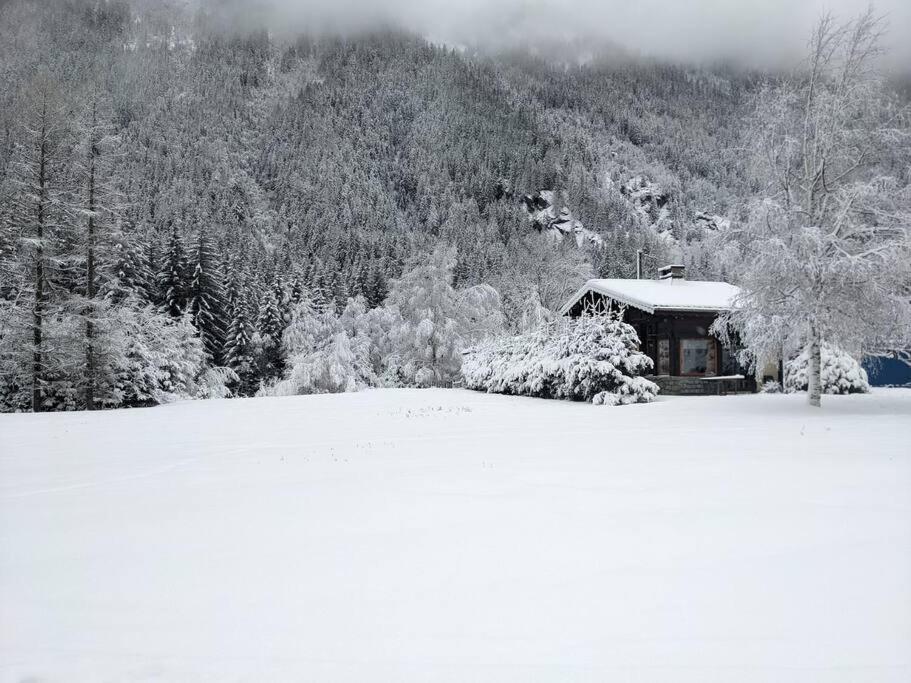Chalet L'Ilet Ensoleille /Sunny Island Chalet Chamonix Exteriör bild