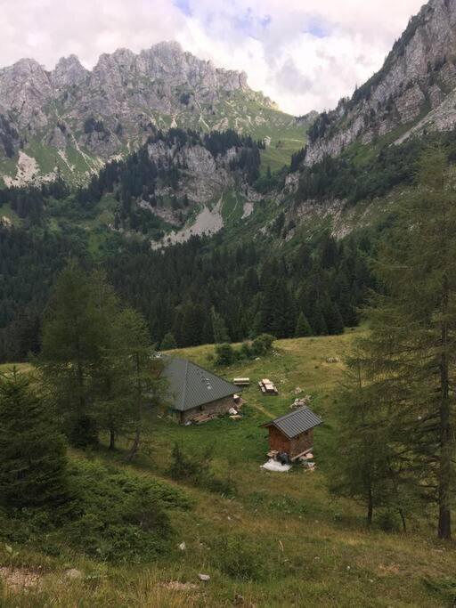 Chalet L'Ilet Ensoleille /Sunny Island Chalet Chamonix Exteriör bild